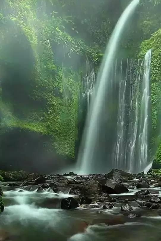 怎样炖鸡汤不腥。知识星球平台,深度分享优质知识